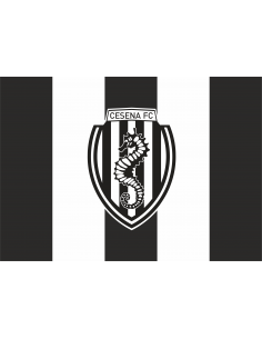 copy of FLAG 70X100 2