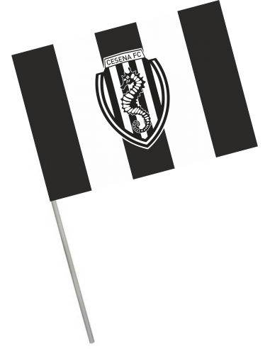 copy of FLAG 70X100